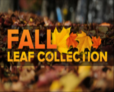 Fall Leaf Collection