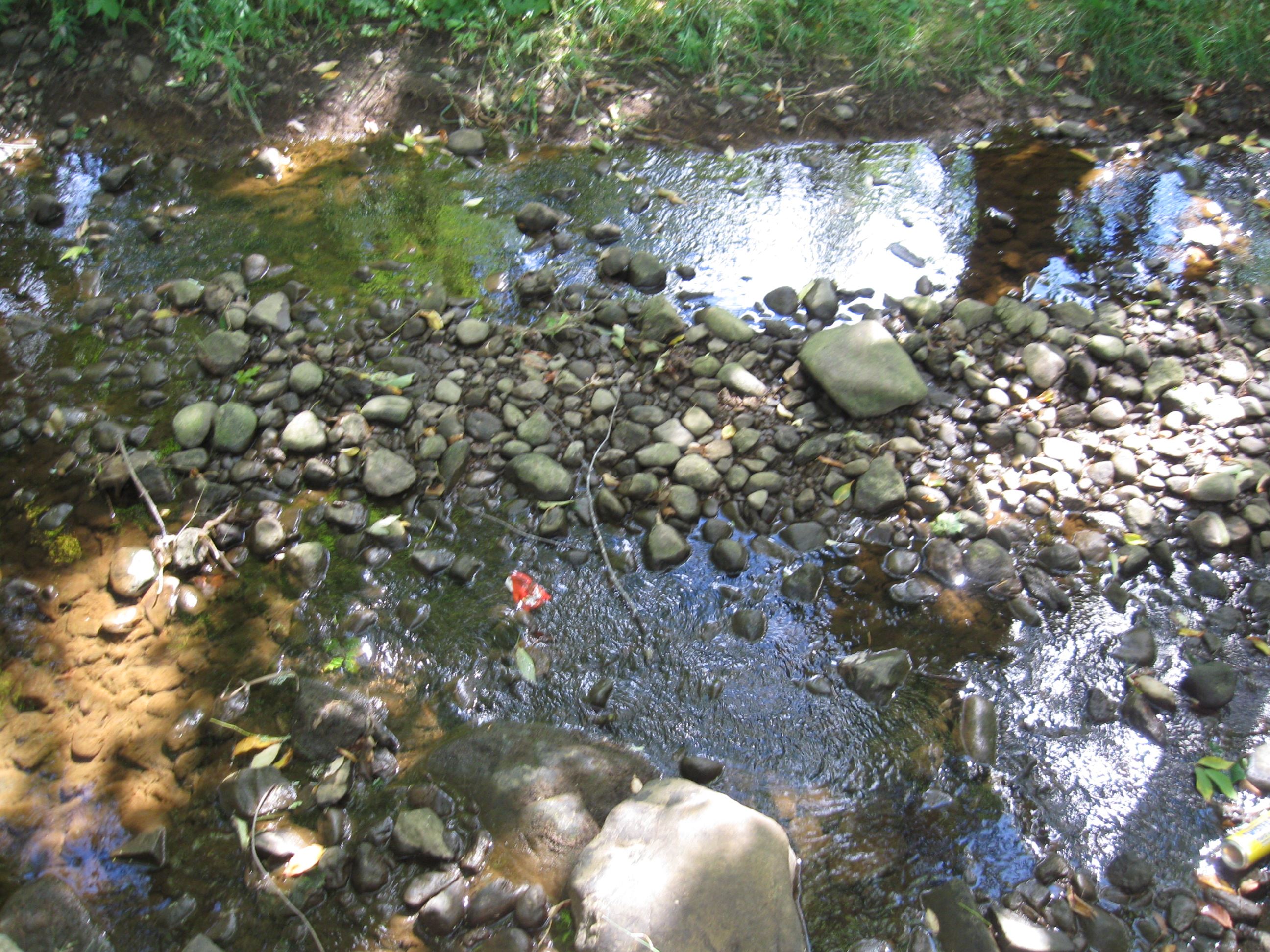 Current Jewett Brook