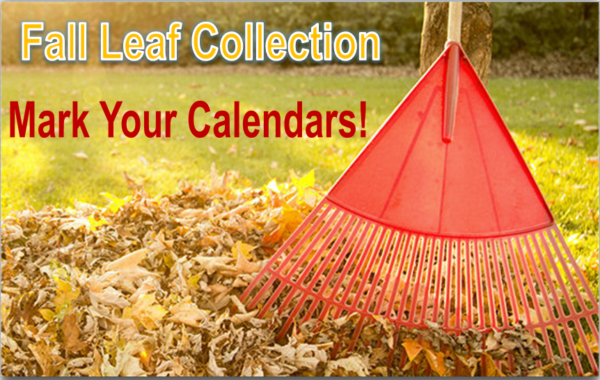 Fall Leaf Collection 2023